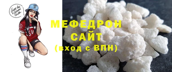 индика Богородск