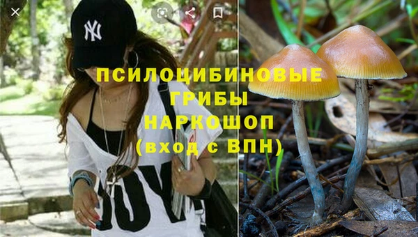 прущая мука Богданович