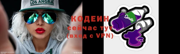 индика Богородск