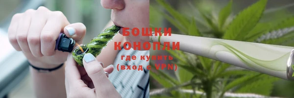 индика Богородск