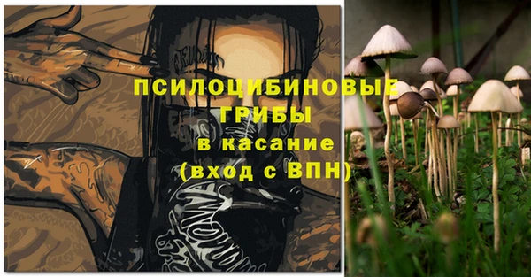 хмурый Богородицк