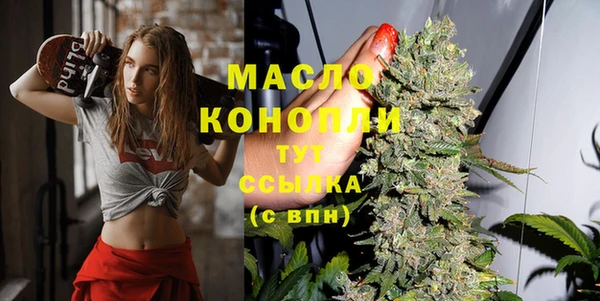 индика Богородск