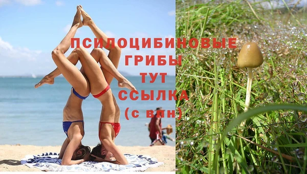 синтетический гашиш Белоозёрский