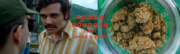 хмурый Богородицк
